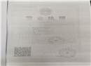 江蘇雙馬木業(yè)有限公司（公示板）